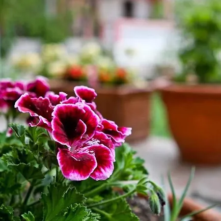 By The Sea Pakostane, Biograd - 14658 شقة *