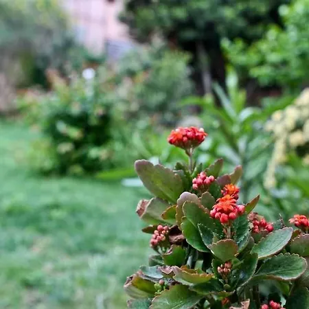 شقة By The Sea Pakostane, Biograd - 14658 *