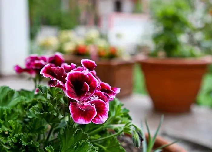 By The Sea Pakostane, Biograd - 14658 아파트 *