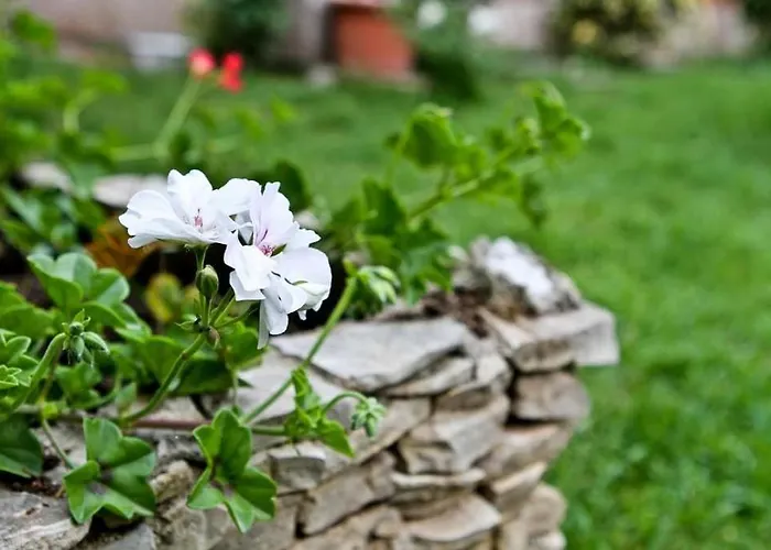 By The Sea Pakostane, Biograd - 14658 * 파코스탄