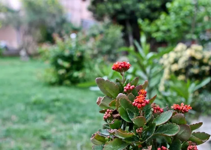 아파트 By The Sea Pakostane, Biograd - 14658 *